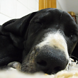 Filipe